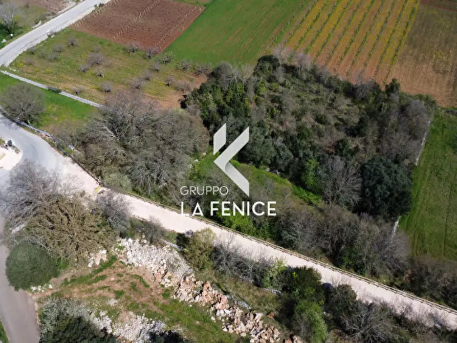 Immagine 23 di Rustico / casale in vendita  in contrada Lamie Affascinate a Locorotondo