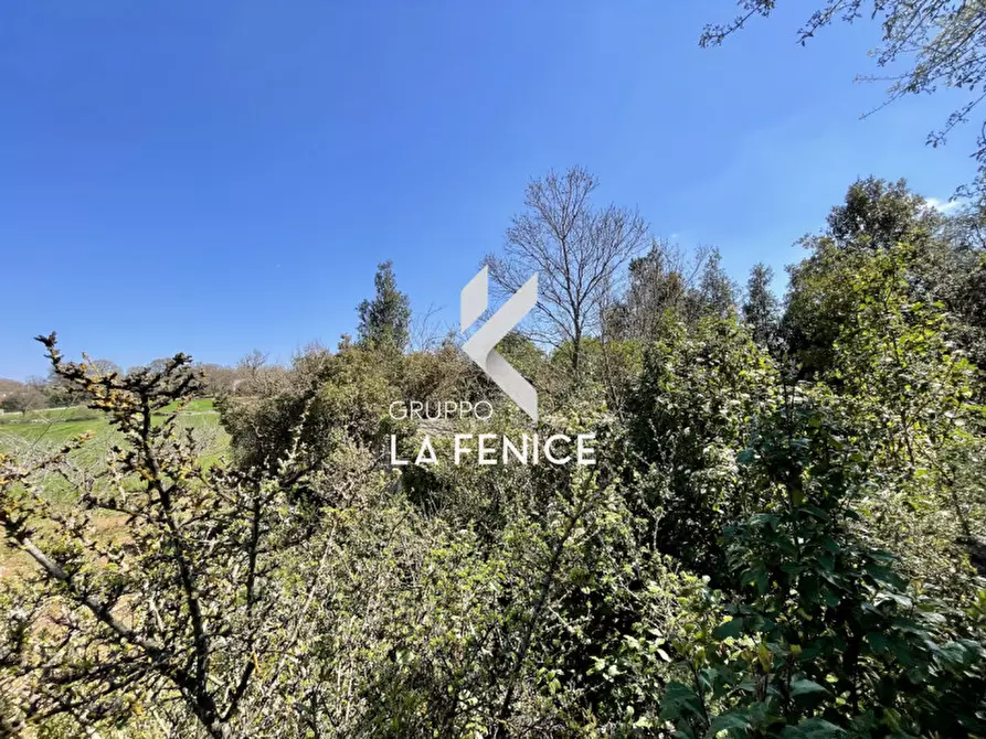 Immagine 24 di Rustico / casale in vendita  in contrada Lamie Affascinate a Locorotondo