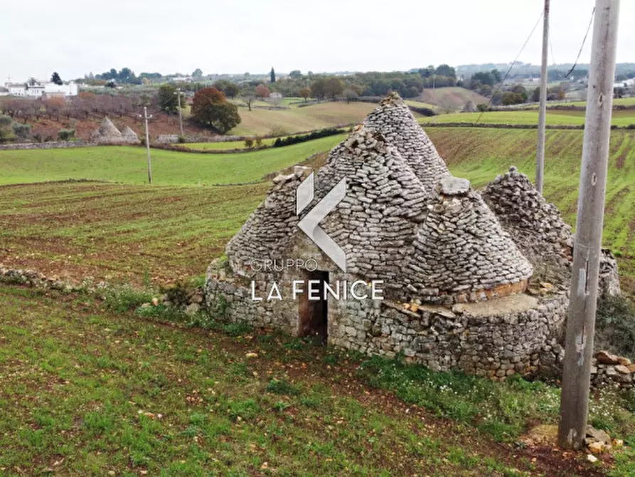 Immagine 22 di Rustico / casale in vendita  in contrada Stabile a Martina Franca