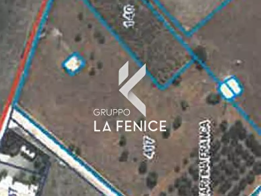 Immagine 25 di Rustico / casale in vendita  in contrada Stabile a Martina Franca