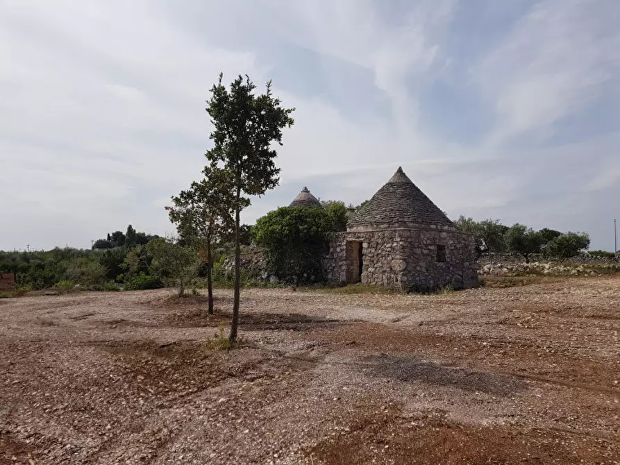 Immagine 2 di Rustico / casale in vendita  a Martina Franca
