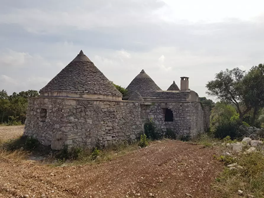 Immagine 3 di Rustico / casale in vendita  a Martina Franca