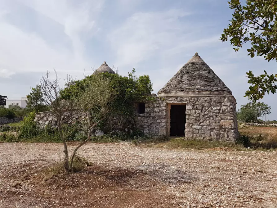 Immagine 6 di Rustico / casale in vendita  a Martina Franca