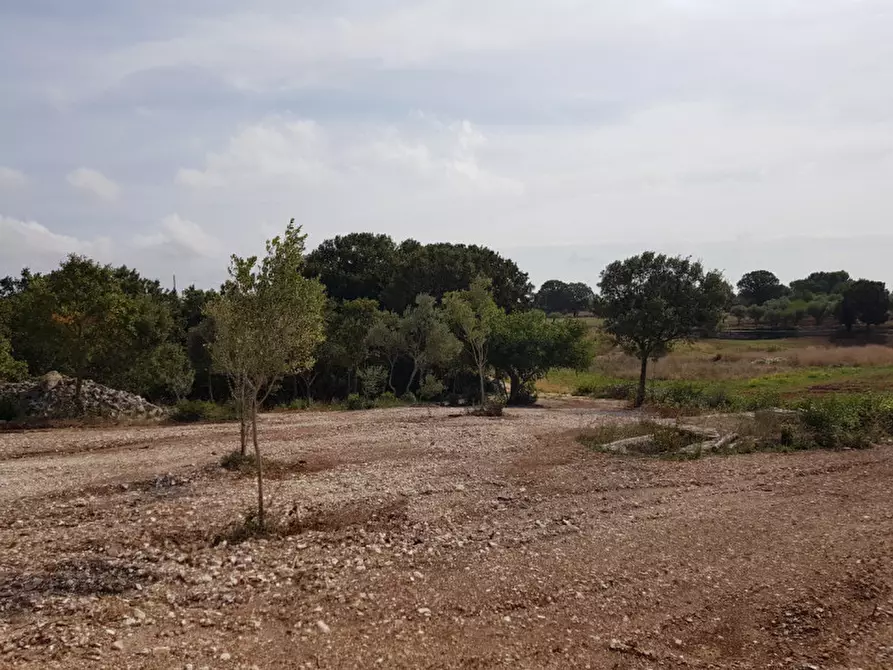 Immagine 7 di Rustico / casale in vendita  a Martina Franca