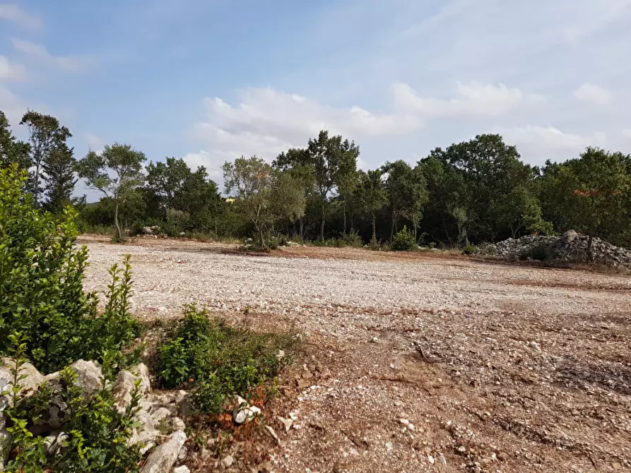 Immagine 8 di Rustico / casale in vendita  a Martina Franca