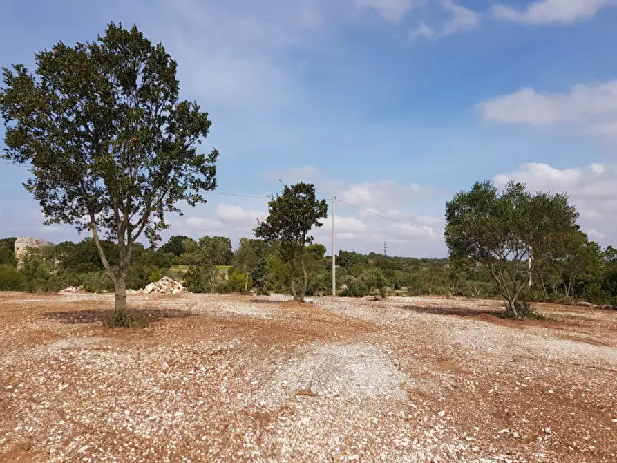 Immagine 9 di Rustico / casale in vendita  a Martina Franca