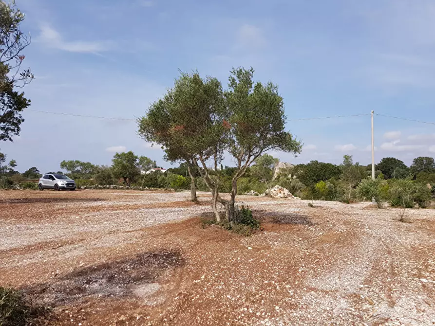 Immagine 11 di Rustico / casale in vendita  a Martina Franca