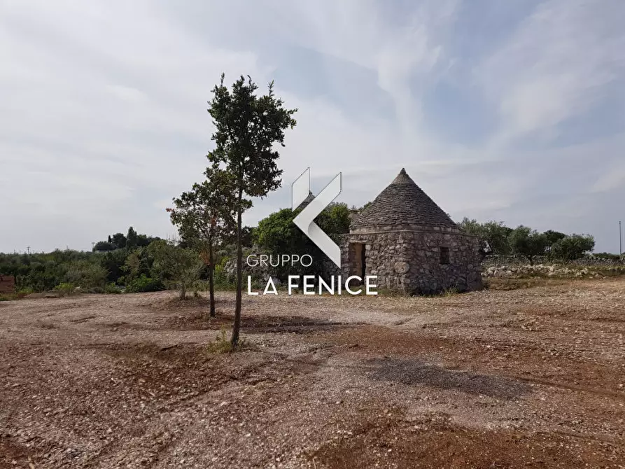 Immagine 15 di Rustico / casale in vendita  a Martina Franca