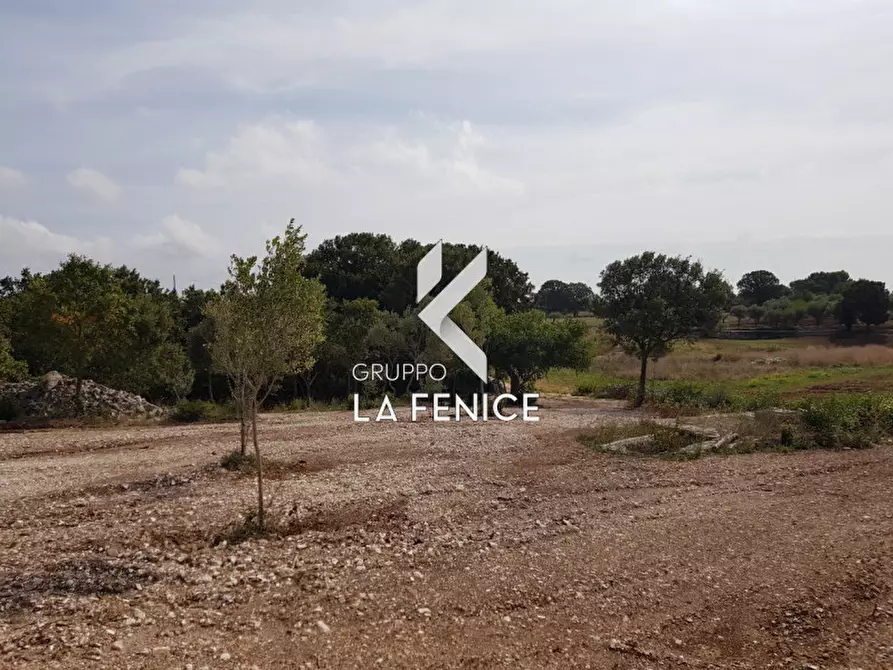 Immagine 20 di Rustico / casale in vendita  a Martina Franca