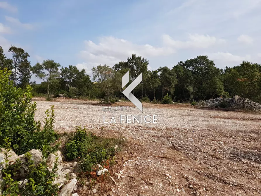 Immagine 21 di Rustico / casale in vendita  a Martina Franca