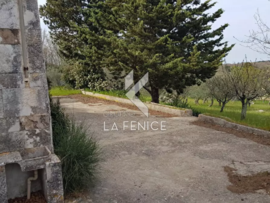 Immagine 7 di Rustico / casale in vendita  a Martina Franca