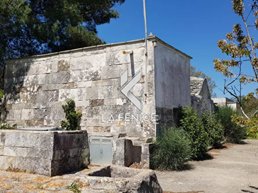 Immagine 11 di Rustico / casale in vendita  a Martina Franca