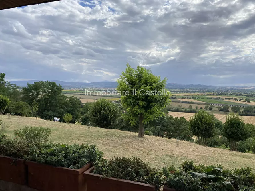 Immagine 9 di Rustico / casale in vendita  in via del fosso a Montepulciano