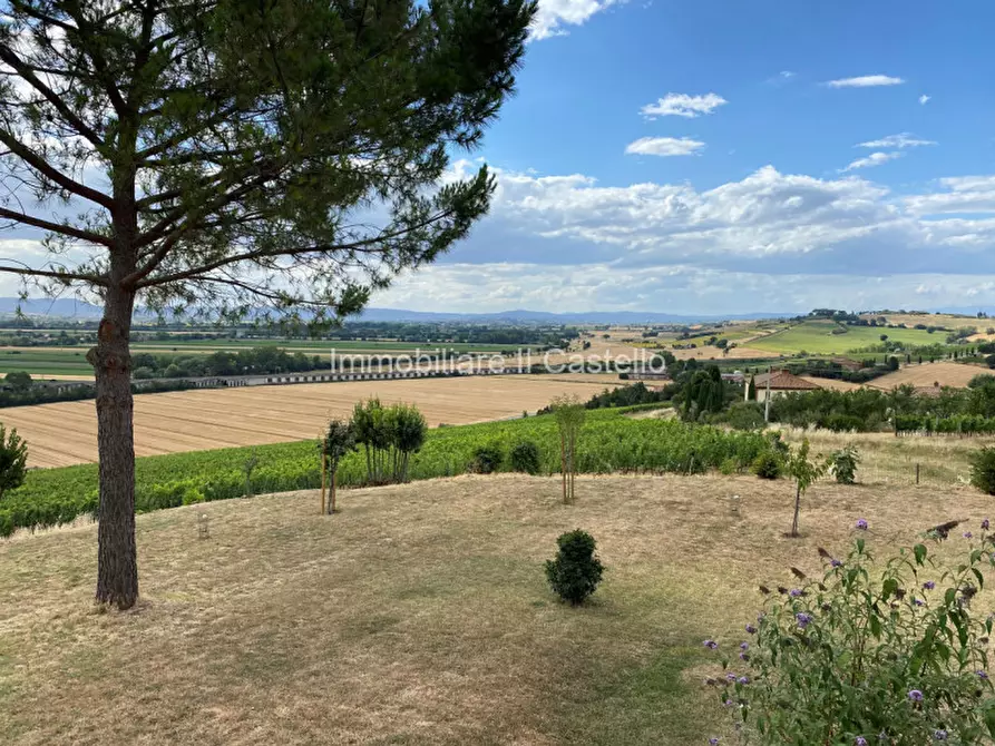 Immagine 11 di Rustico / casale in vendita  in via del fosso a Montepulciano