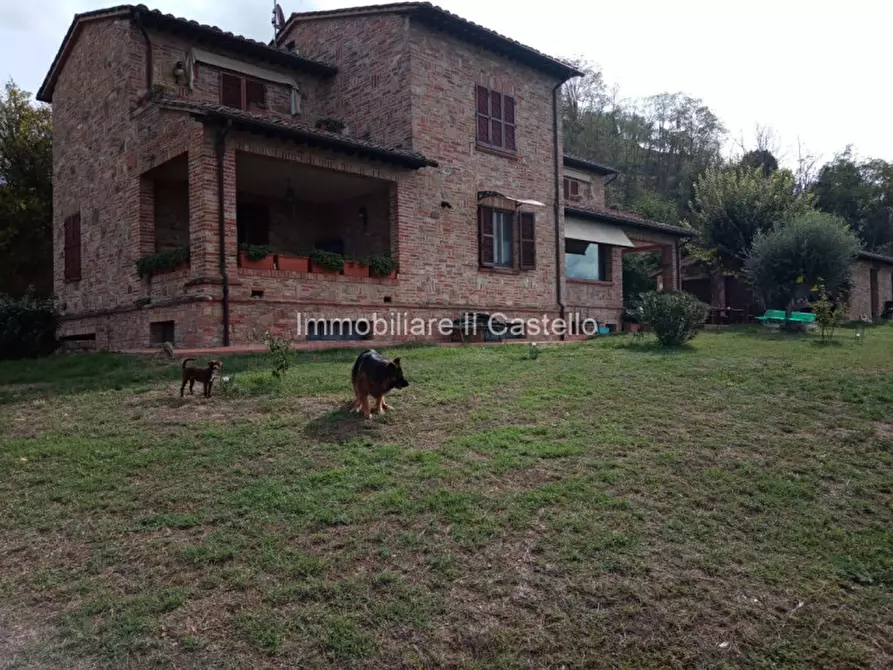 Immagine 14 di Rustico / casale in vendita  in via del fosso a Montepulciano