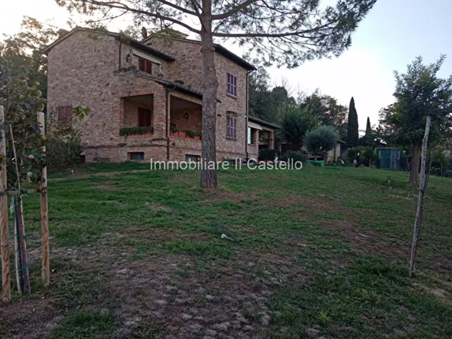 Immagine 15 di Rustico / casale in vendita  in via del fosso a Montepulciano