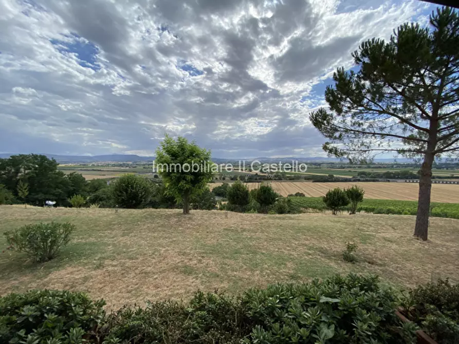 Immagine 21 di Rustico / casale in vendita  in via del fosso a Montepulciano