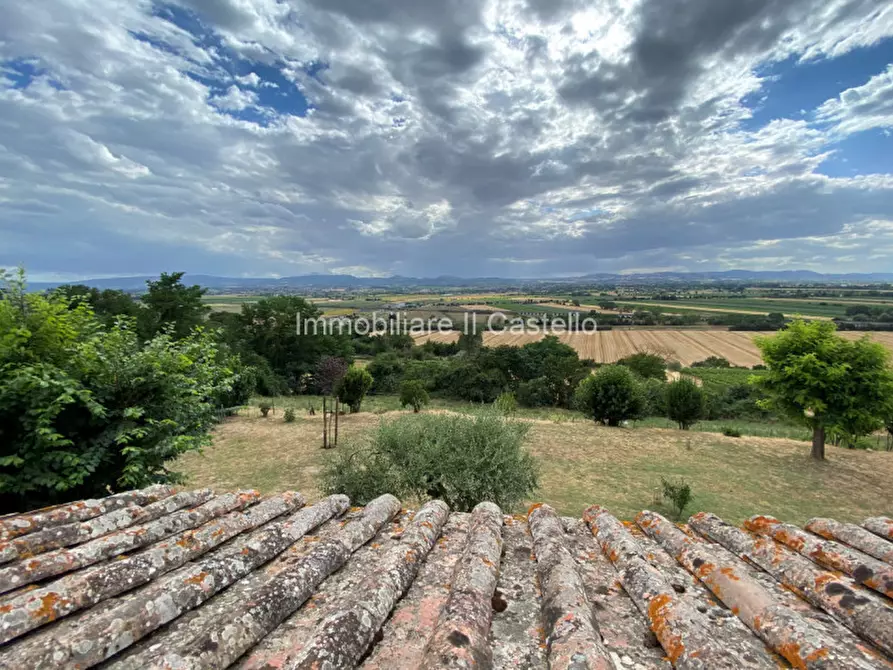 Immagine 23 di Rustico / casale in vendita  in via del fosso a Montepulciano