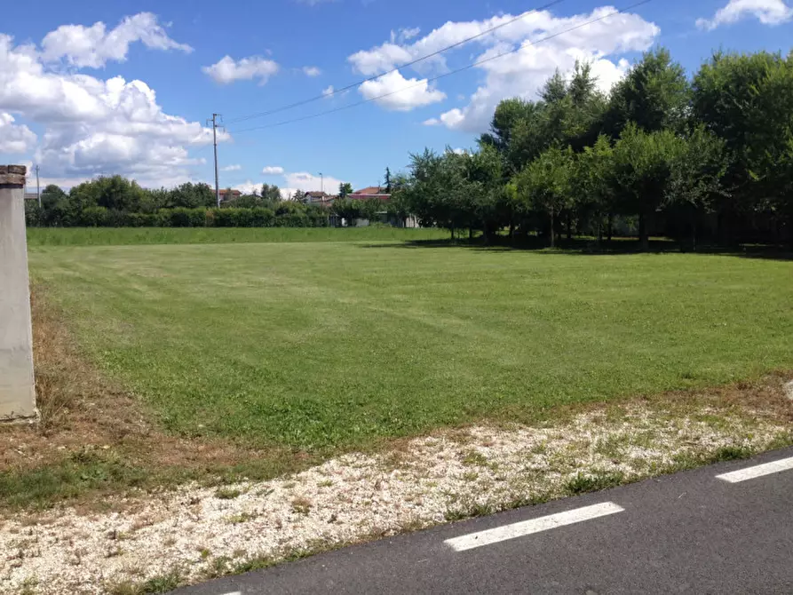 Immagine 1 di Terreno in vendita  a Piazzola Sul Brenta