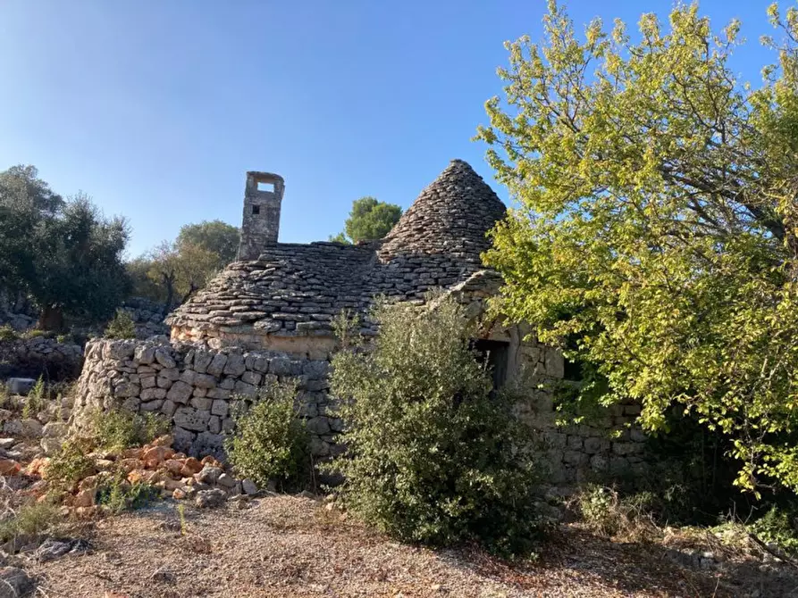 Immagine 2 di Rustico / casale in vendita  in Contrada Lamia Nuova a Ceglie Messapico