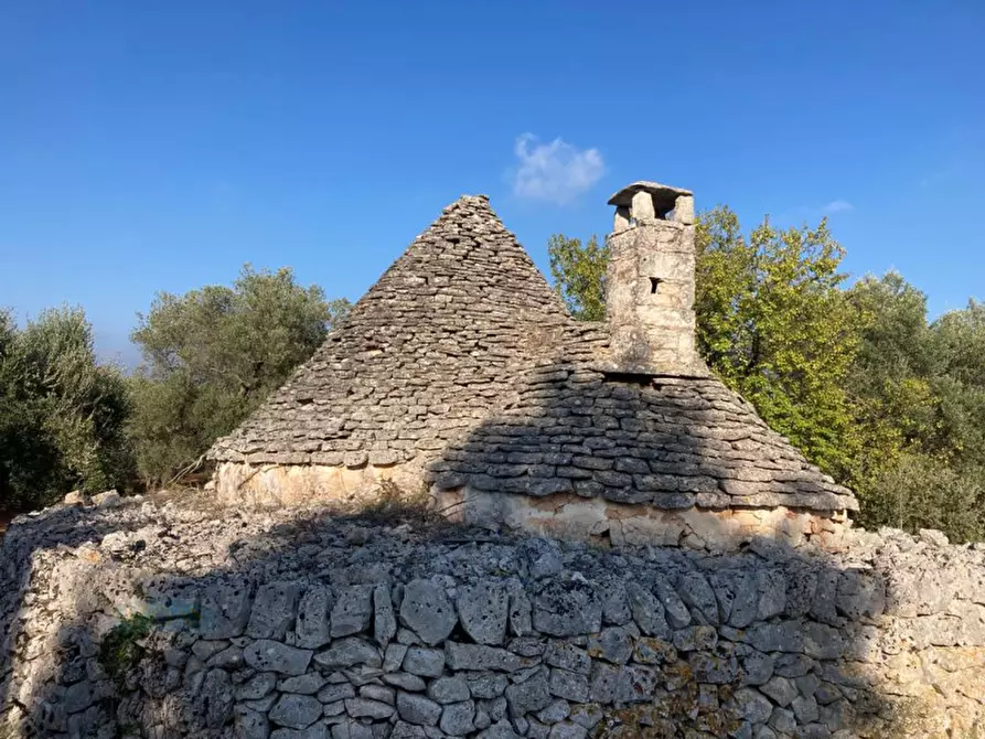 Immagine 3 di Rustico / casale in vendita  in Contrada Lamia Nuova a Ceglie Messapico