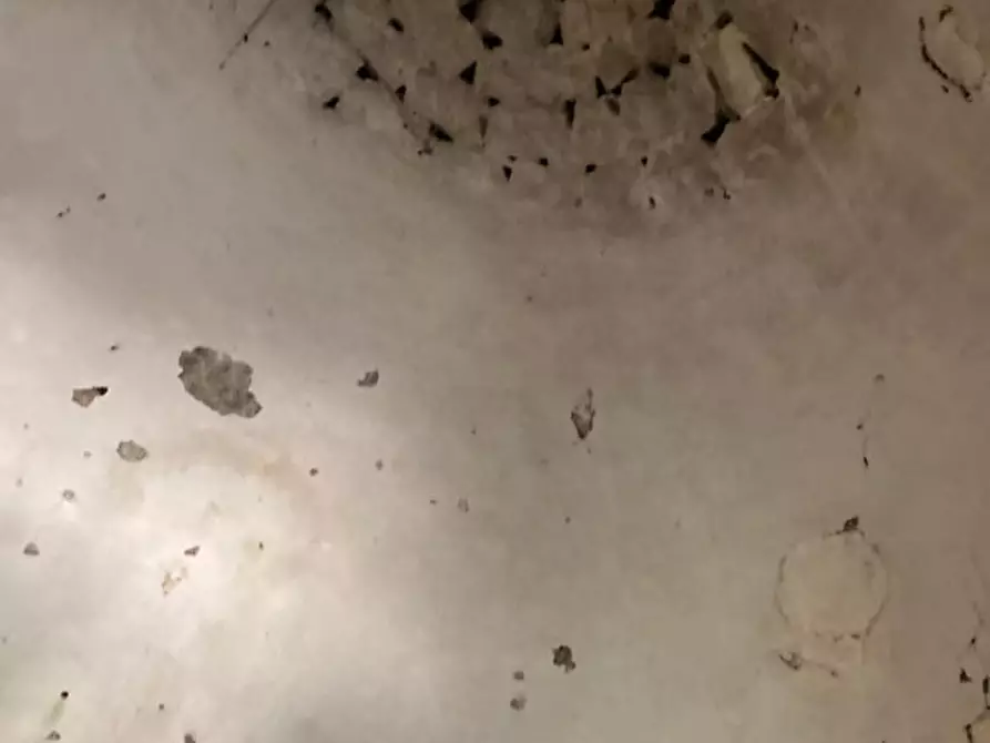 Immagine 4 di Rustico / casale in vendita  in Contrada Lamia Nuova a Ceglie Messapico