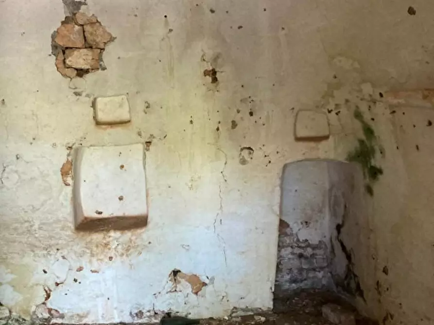 Immagine 7 di Rustico / casale in vendita  in Contrada Lamia Nuova a Ceglie Messapico
