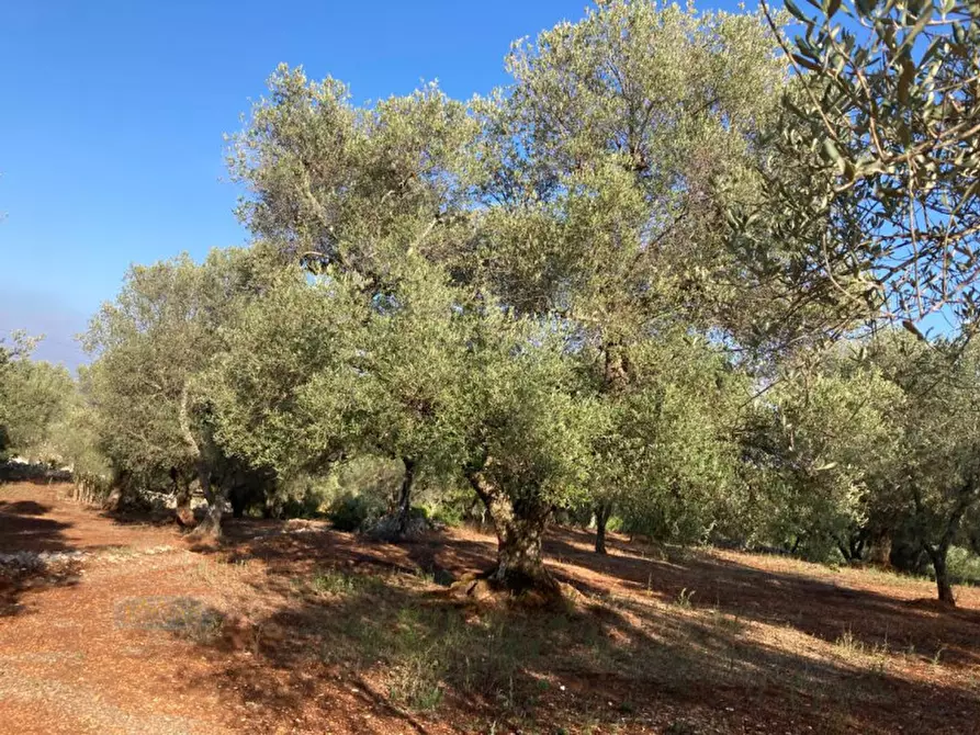Immagine 10 di Rustico / casale in vendita  in Contrada Lamia Nuova a Ceglie Messapico