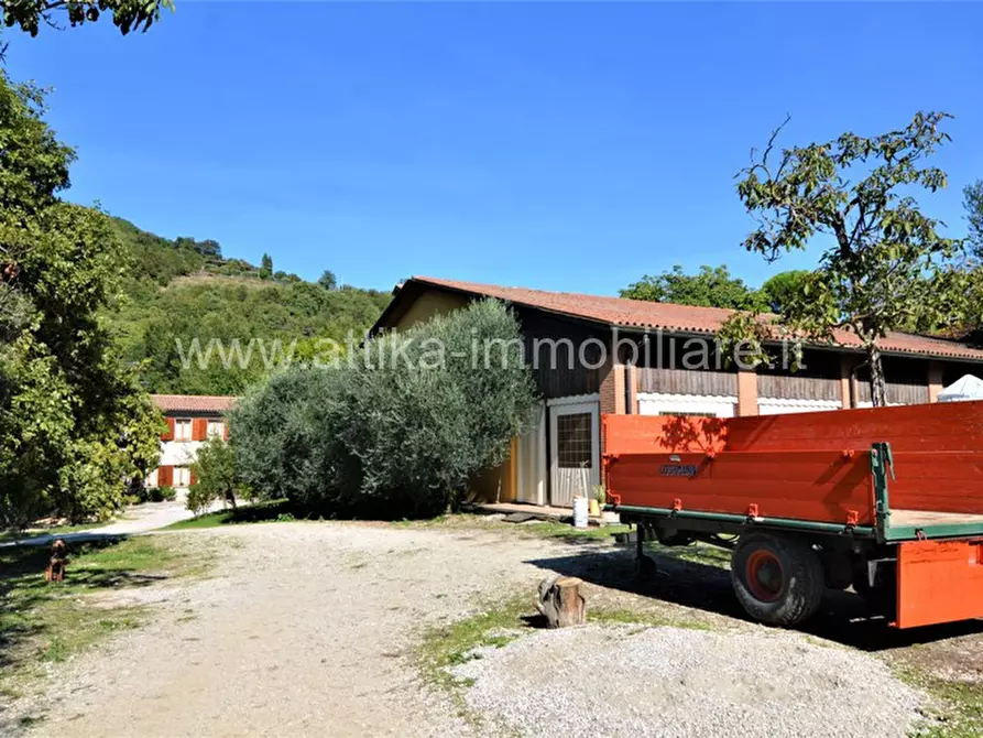 Immagine 3 di Rustico / casale in vendita  in Via Gobetti a Montegrotto Terme