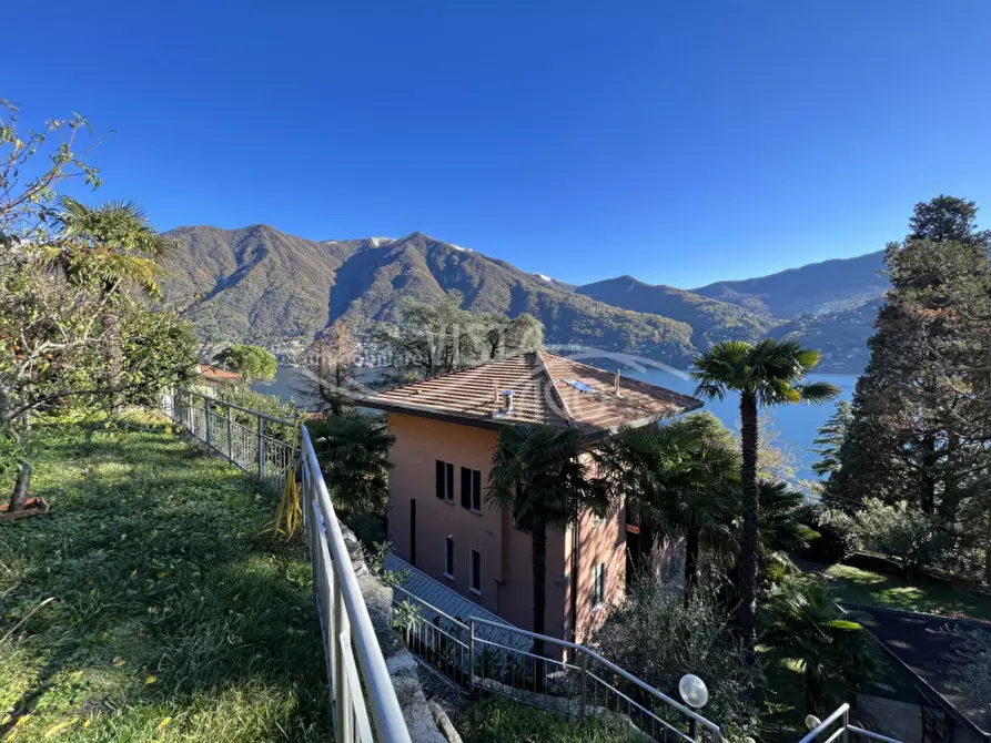 Immagine 5 di Villa in vendita  a Carate Urio