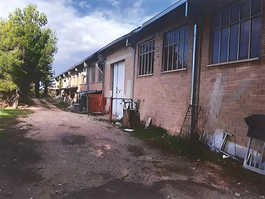 Immagine 10 di Capannone industriale in vendita  in Via San Claudio 2 a Spello