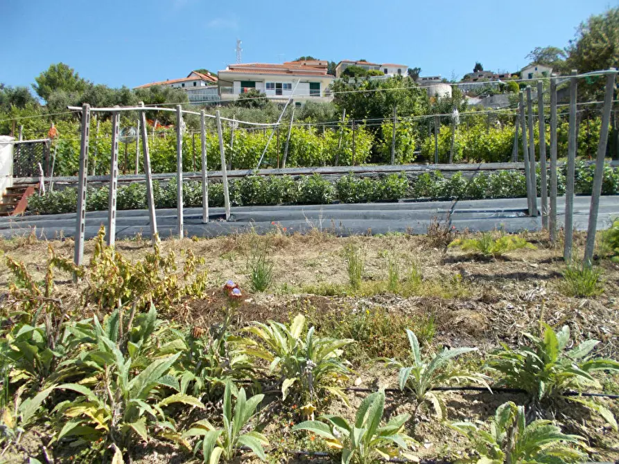 Immagine 3 di Terreno in vendita  in Via  Gabriele D'Annunzio a San Remo