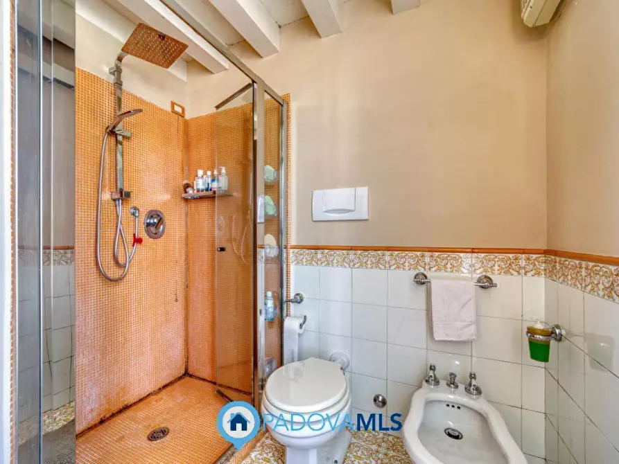 Immagine 19 di Casa bifamiliare in vendita  in via Roma a Noventa Padovana