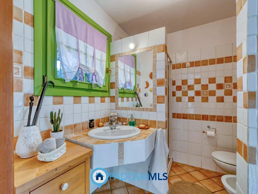 Immagine 29 di Casa bifamiliare in vendita  in via Roma a Noventa Padovana