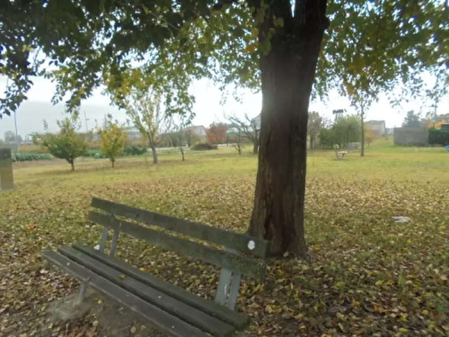 Immagine 2 di Terreno in vendita  a Stienta