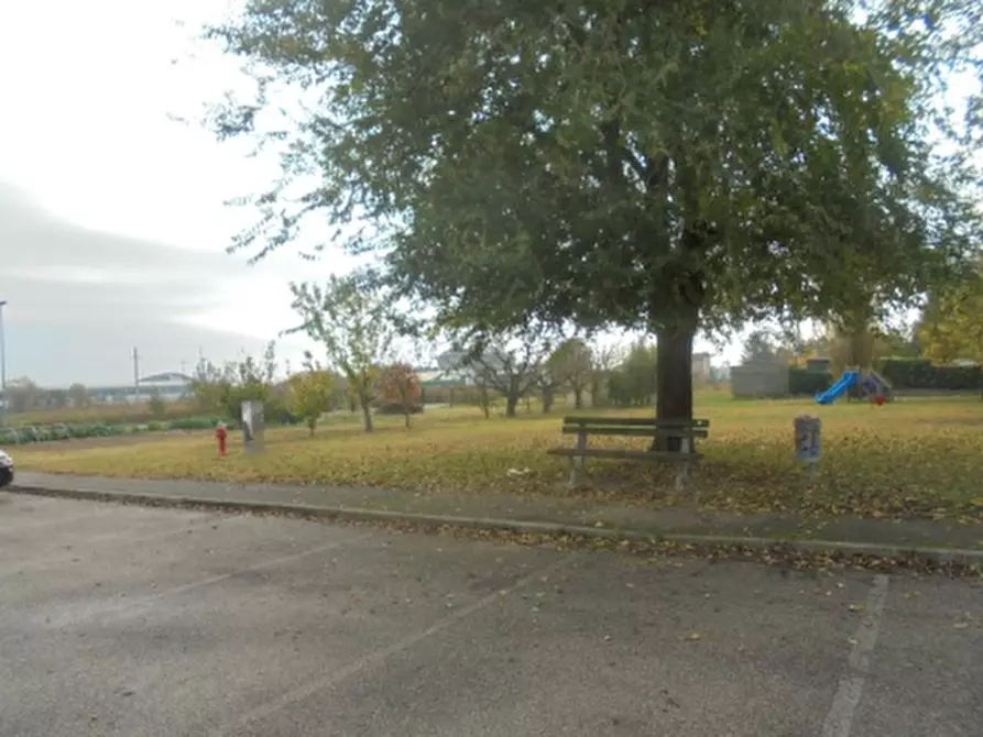 Immagine 3 di Terreno in vendita  a Stienta