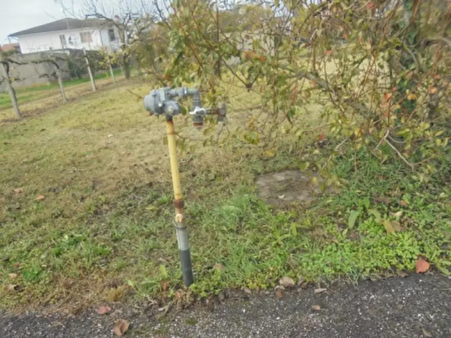 Immagine 4 di Terreno in vendita  a Stienta