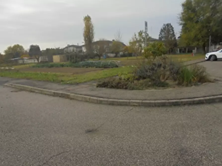 Immagine 6 di Terreno in vendita  a Stienta