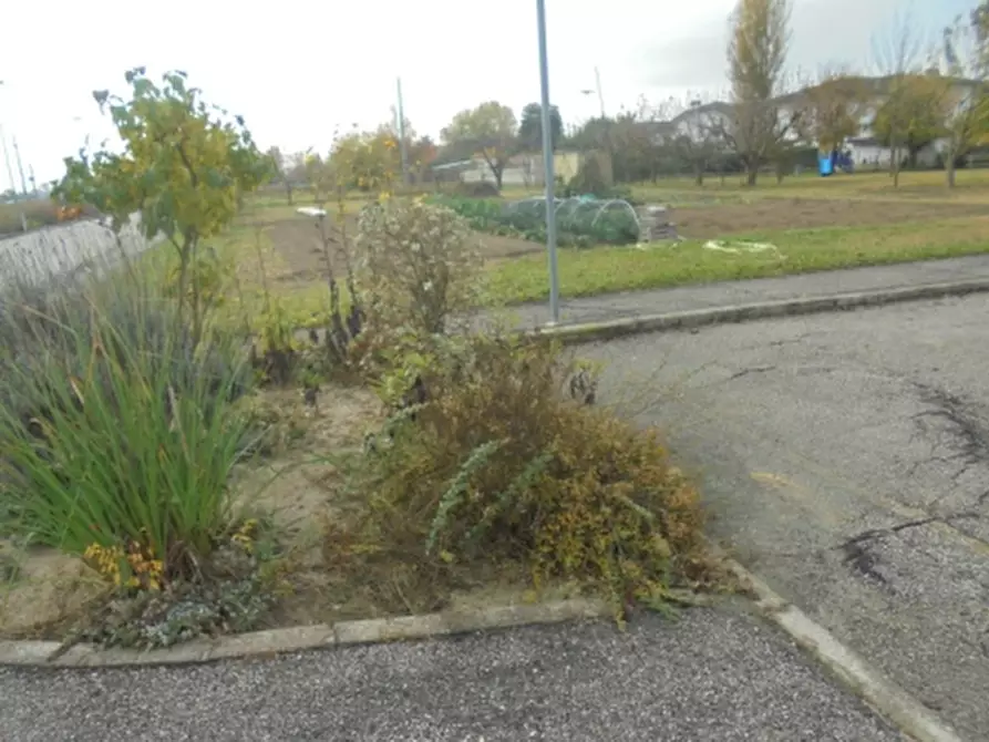 Immagine 7 di Terreno in vendita  a Stienta