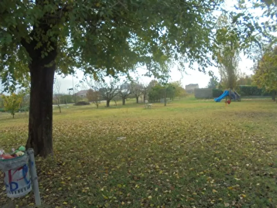 Immagine 8 di Terreno in vendita  a Stienta