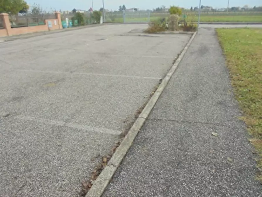 Immagine 9 di Terreno in vendita  a Stienta