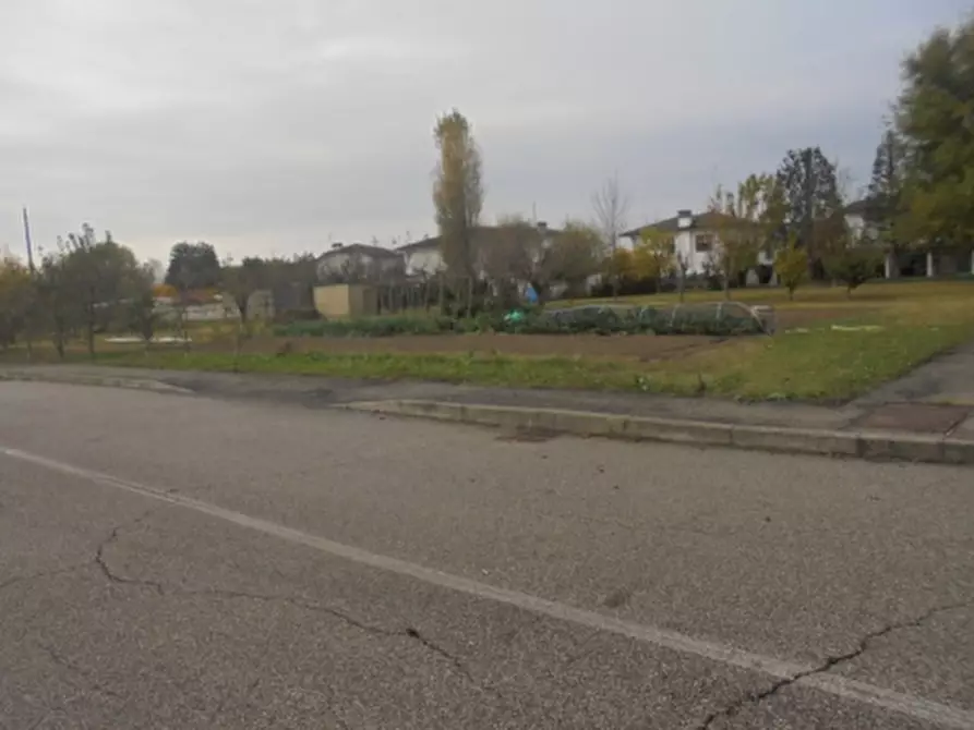 Immagine 11 di Terreno in vendita  a Stienta