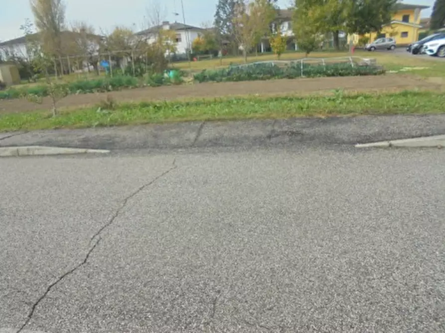 Immagine 12 di Terreno in vendita  a Stienta