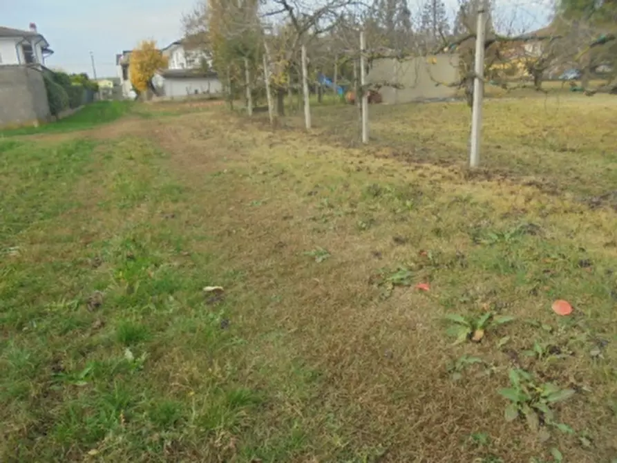 Immagine 13 di Terreno in vendita  a Stienta