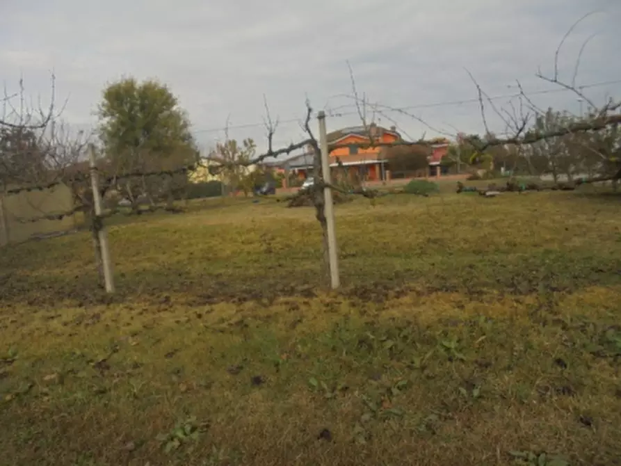 Immagine 14 di Terreno in vendita  a Stienta