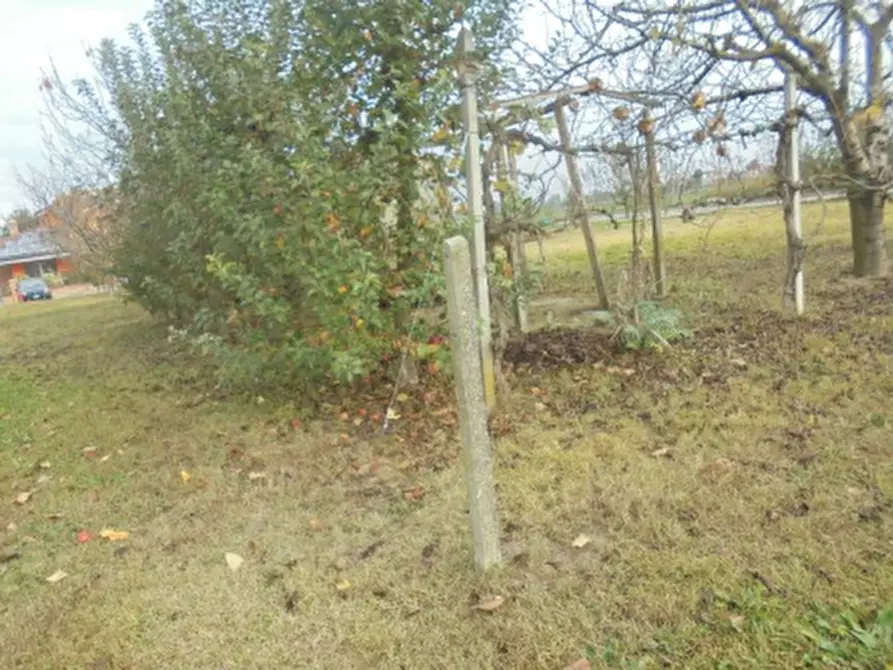 Immagine 17 di Terreno in vendita  a Stienta