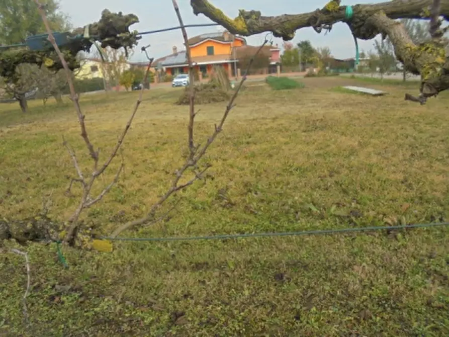 Immagine 18 di Terreno in vendita  a Stienta