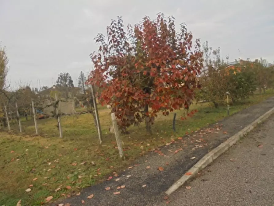 Immagine 19 di Terreno in vendita  a Stienta