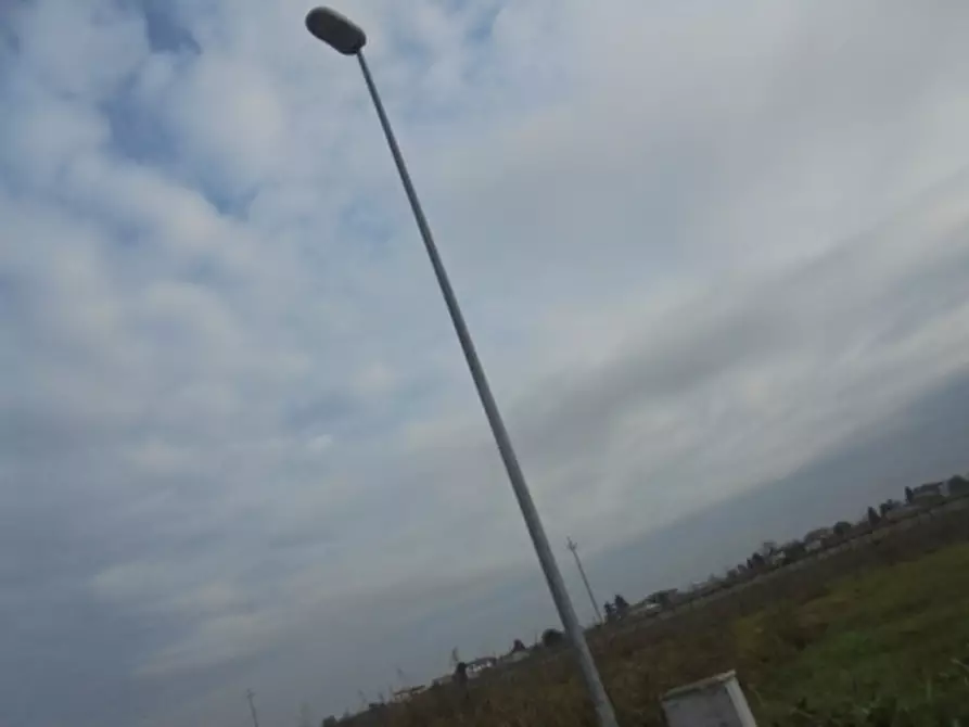 Immagine 21 di Terreno in vendita  a Stienta