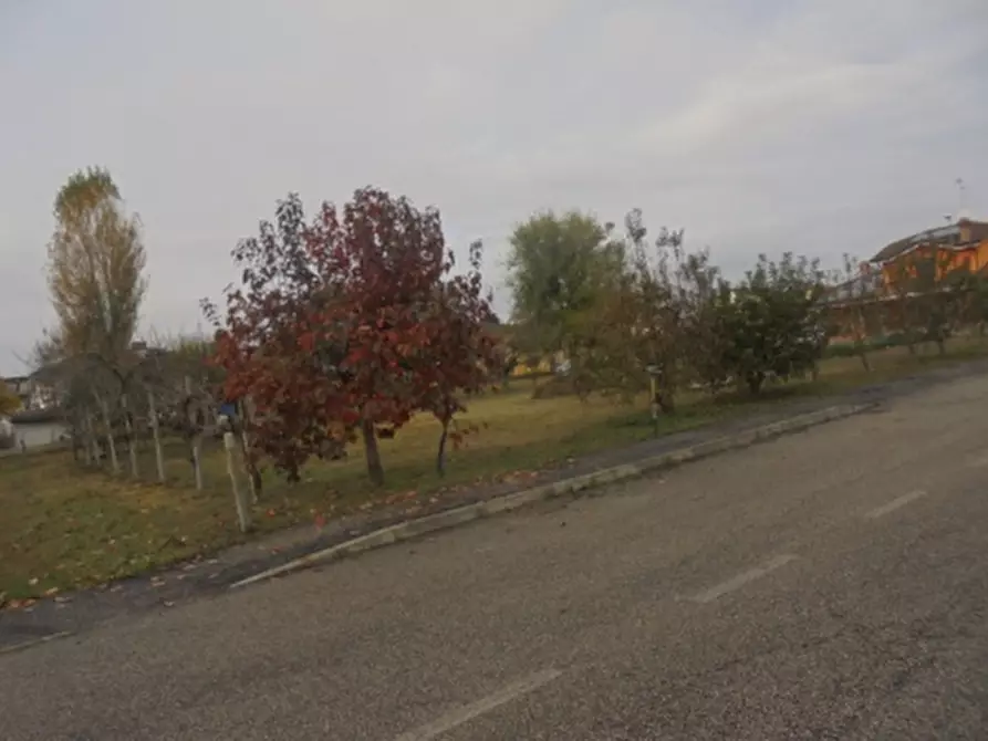 Immagine 23 di Terreno in vendita  a Stienta